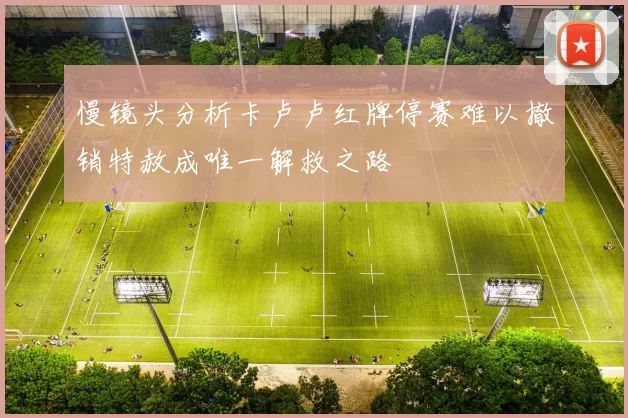 慢镜头分析卡卢卢红牌停赛难以撤销特赦成唯一解救之路